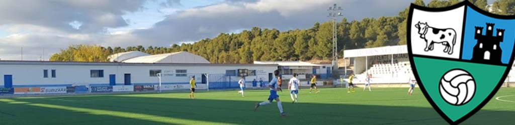 Estadio Manuel Meler